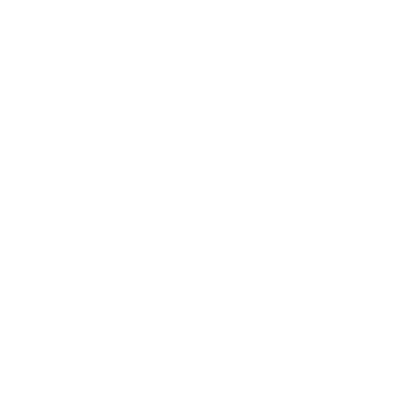 Paula Cosentino Logo